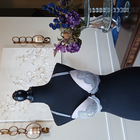 Victoria's Secret Dream Angels Gray Lace  Demi Bra. Size 32DDD - Picture 9 of 17